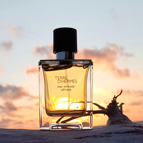 Hermes Terre D'Hermes Pour Homme